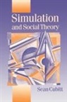 Sean Cubitt - Simulation and Social Theory