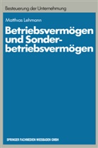 Matthias Lehmann - Betriebsvermögen und Sonderbetriebsvermögen