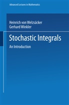 Heinrich von Weizsäcker, Gerhard Winkler - Stochastic Integrals