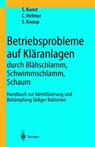 C Helmer, C. Helmer, Christine Helmer, S. Knoop, Sabine Knoop, S. Kunst... - Betriebsprobleme auf Kläranlagen durch Blähschlamm, Schwimmschlamm, Schaum
