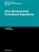 Genric Belitskii, Genrich Belitskii, Vadim Tkachenko - One-dimensional Functional Equations