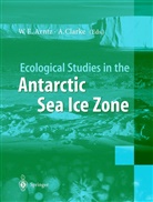 Wolf E. Arntz, Clarke, Clarke, Andrew Clarke, Wol E Arntz, Wolf E Arntz - Ecological Studies in the Antarctic Sea Ice Zone