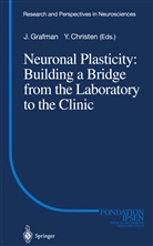 Jorda Grafman, Jordan Grafman - Neuronal Plasticity: Building a Bridge from the Laboratory to the Clinic