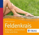Birgit Lichtenau, Bettina von Websky, Bettina von Websky - Feldenkrais - bewegte, schmerzfreie Füße und Knie, 1 Audio-CD (Hörbuch)