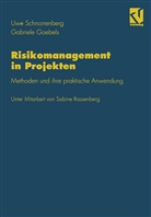 Gabriel Goebels, Gabriele Goebels, Uwe Schnorrenberg, Sabin Rassenberg, Sabine Rassenberg - Risikomanagement in Projekten