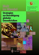 Wissenschaftlich Beirat der Bundesregierung Globa, Wissenschaftlicher Beirat der Bundesregierung GlobaleUmweltveränderu, Wissenschaftlicher Beirat der Bundesregierung GlobaleUmweltveränderungen - Welt im Wandel: Strategien zur Bewältigung globaler Umweltrisiken