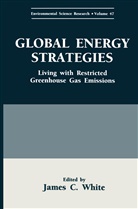 Jame C White, James C White, James C. White - Global Energy Strategies