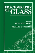 R. C. Bradt, R.C. Bradt, C Bradt, R C Bradt, E Tressler, E Tressler... - Fractography of Glass