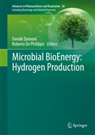 De Philippis, De Philippis, Roberto De Philippis, Roberto de Philippis, David Zannoni, Davide Zannoni - Microbial BioEnergy: Hydrogen Production