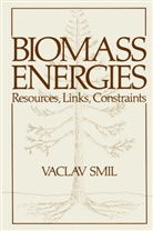Vaclav Smil - Biomass Energies