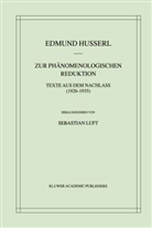 Edmun Husserl, Edmund Husserl, Sebastian Luft - Zur Phänomenologischen Reduktion