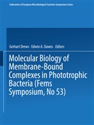Edwin A Dawes, Edwin A. Dawes, Gerhar Drews, Gerhart Drews - Molecular Biology of Membrane-Bound Complexes in Phototrophic Bacteria