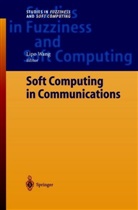 Lip Wang, Lipo Wang - Soft Computing in Communications
