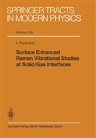 I Pockrand, I. Pockrand - Surface Enhanced Raman Vibrational Studies at Solid Gas Interfaces