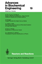 Shimshon Belkin, Shimshon et al Belkin, Isao Endo, Man Bock Gu, Wei Shou Hu, Bo Mattiasson... - Reactors and Reactions