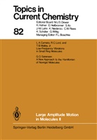 Kendall Houk, Kendall N Houk, Kendall N. Houk, Christopher Hunter, Christopher A Hunter, Christopher A. Hunter... - Large Amplitude Motion in Molecules II