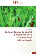 Noémie Blaise, Blaise-N - Darfour: enjeux du conflit