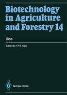 Y P S Bajaj, Y. P. S. Bajaj, Yashpal P. S. Bajaj, Y. P. S. Bajaj, Y.P.S Bajaj, Yashal P. S. Bajaj... - Biotechnology in Agriculture and Forestry - 14: Rice