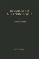 August Rippel-Baldes - Grundriss der Mikrobiologie