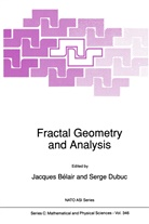 Jacque Bélair, Jacques Bélair, Dubuc, Dubuc, Serge Dubuc - Fractal Geometry and Analysis