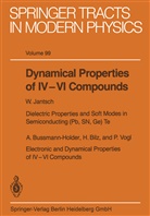 Dynamical Properties of IV VI Compounds