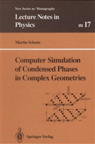 Martin Schoen - Computer Simulation of Condensed Phases in Complex Geometries