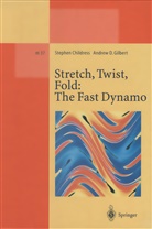 Stephe Childress, Stephen Childress, Andrew D Gilbert, Andrew D. Gilbert - Stretch, Twist, Fold: The Fast Dynamo
