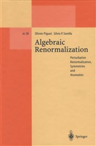 Olivie Piguet, Olivier Piguet, Silvio P Sorella, Silvio P. Sorella - Algebraic Renormalization