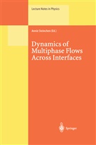 Anni Steinchen, Annie Steinchen - Dynamics of Multiphase Flows Across Interfaces