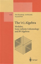 Pete Bouwknegt, Peter Bouwknegt, Ji McCarthy, Jim Mccarthy, Krzysztof Pilch - The W3 Algebra