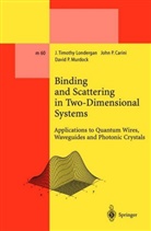 John Carini, John P Carini, John P. Carini, J Timoth Londergan, J Timothy Londergan, J. Timothy Londergan... - Binding and Scattering in Two-Dimensional Systems