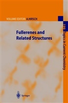Andrea Hirsch, Andreas Hirsch - Fullerenes and Related Structures