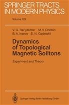 Victor Bar'yakhtar, Victor G Bar'yakhtar, Victor G. Bar'yakhtar, Mikhail Chetkin, Mikhail V Chetkin, Mikhail V. Chetkin... - Dynamics of Topological Magnetic Solitons