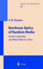 Vladimir M Shalaev, Vladimir M. Shalaev - Nonlinear Optics of Random Media