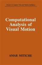 Amar Mitiche - Computational Analysis of Visual Motion