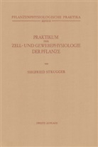 Siegfried Strugger - Praktikum der Zell- und Gewebephysiologie der Pflanze
