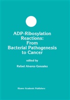 Alvarez-Gonzalez, R Alvarez-Gonzalez, R. Alvarez-Gonzalez - ADP-Ribosylation Reactions