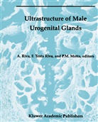 P Motta, P. Motta, Allessandro Riva, Francesc Testa Riva, Francesca Testa Riva - Ultrastructure of the Male Urogenital Glands