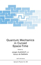 Jurge Audretsch, Jurgen Audretsch, Jürgen Audretsch, de Sabbata, de Sabbata, V. De Sabbata... - Quantum Mechanics in Curved Space-Time