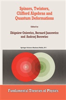 Andrzej Borowiec, Bernar Jancewicz, Bernard Jancewicz, Zbigniew Oziewicz - Spinors, Twistors, Clifford Algebras and Quantum Deformations