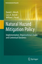 Daniel Alesch, Daniel J Alesch, Daniel J. Alesch, Lucy Arendt, Lucy A Arendt, Lucy A. Arendt... - Natural Hazard Mitigation Policy