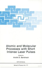 Andre D Bandruk, Andre D. Bandruk - Atomic and Molecular Processes with Short Intense Laser Pulses