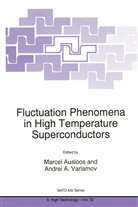 A Varlamov, A Varlamov, Ausloos, M Ausloos, M. Ausloos, Marcel Ausloos... - Fluctuation Phenomena in High Temperature Superconductors