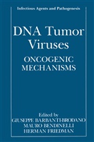 Giuseppe Barbanti-Brodano, Maur Bendinelli, Mauro Bendinelli, Herman Friedman - DNA Tumor Viruses
