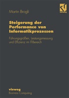 Martin Brogli - Steigerung der Performance von Informatikprozessen