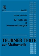 Günther Windisch - M-matrices in Numerical Analysis