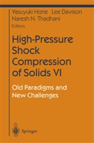 Le Davison, Lee Davison, Yasuyuki Horie, Naresh Thadani - High-Pressure Shock Compression of Solids VI