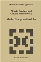 Albert Facchini, Alberto Facchini, Menini, Menini, Claudia Menini - Abelian Groups and Modules