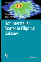 Dong-Wo Kim, Dong-Woo Kim, Pellegrini, Pellegrini, Silvia Pellegrini - Hot Interstellar Matter in Elliptical Galaxies