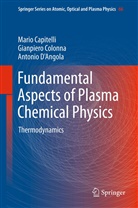 Mari Capitelli, Mario Capitelli, Gianpier Colonna, Gianpiero Colonna, Anto D'Angola, Antonio D'Angola - Fundamental Aspects of Plasma Chemical Physics